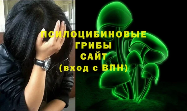 МДПВ Приозерск